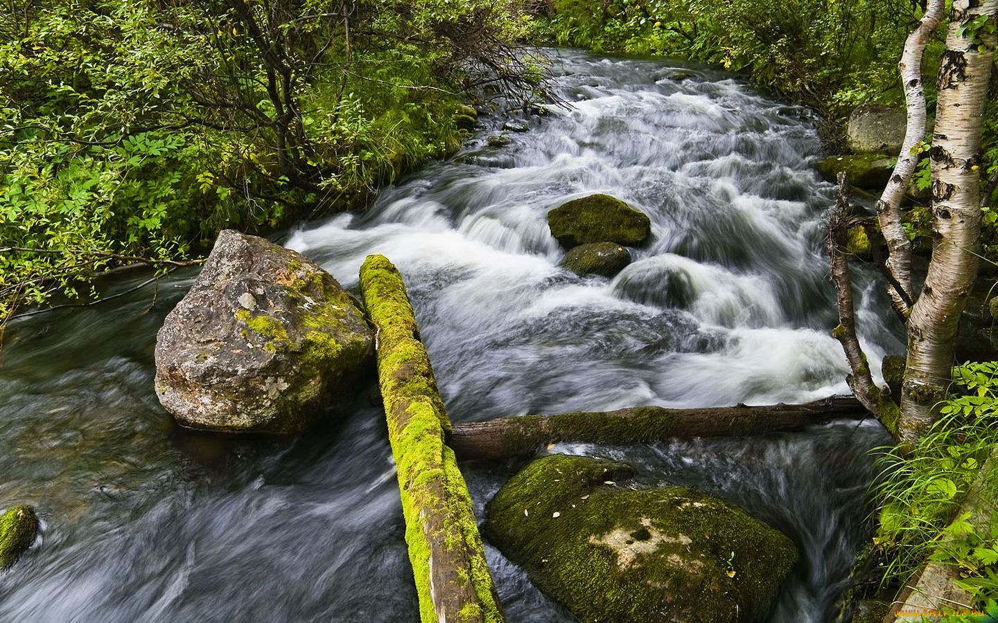 природа, реки, озера