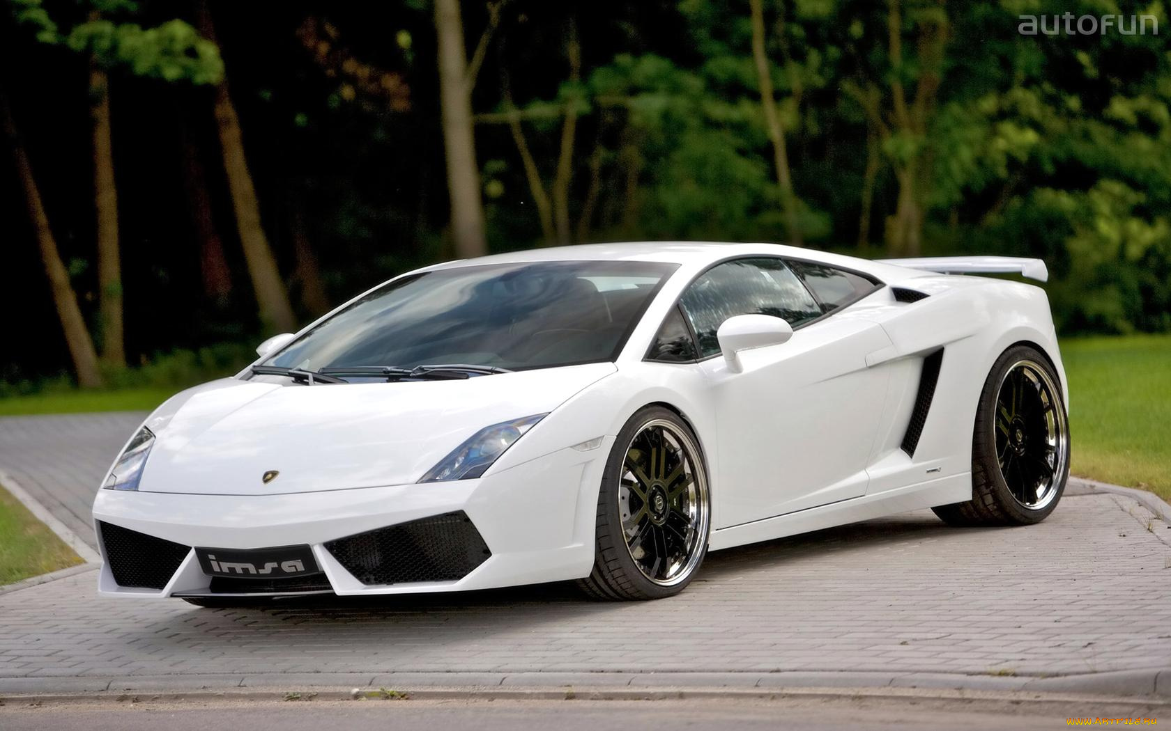 imsa, gallardo, lp560, автомобили, lamborghini