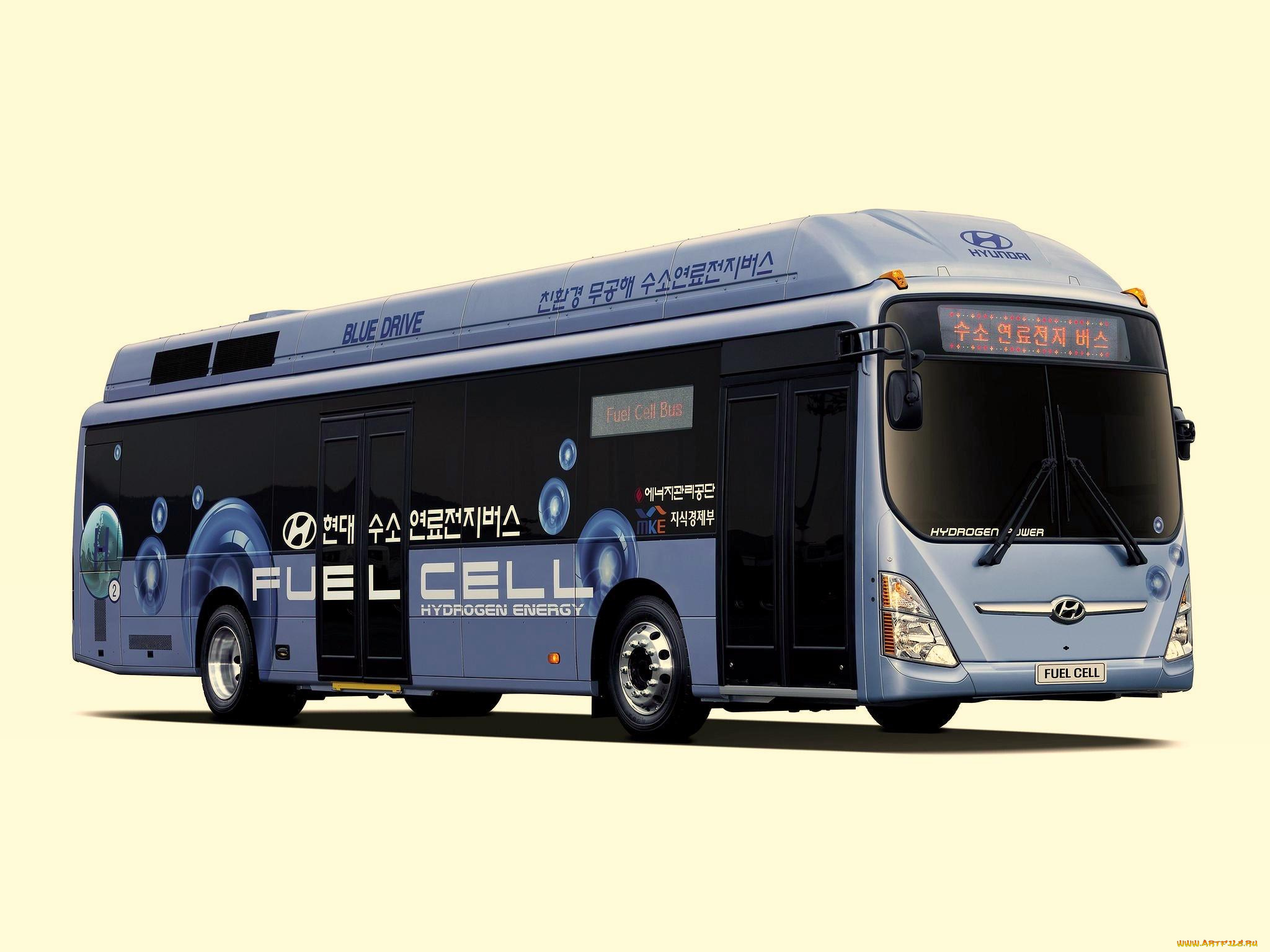 автомобили, автобусы