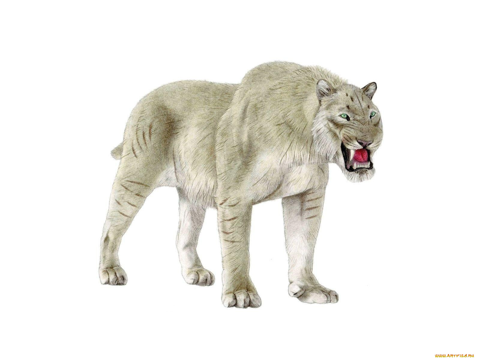 рисованные, животные