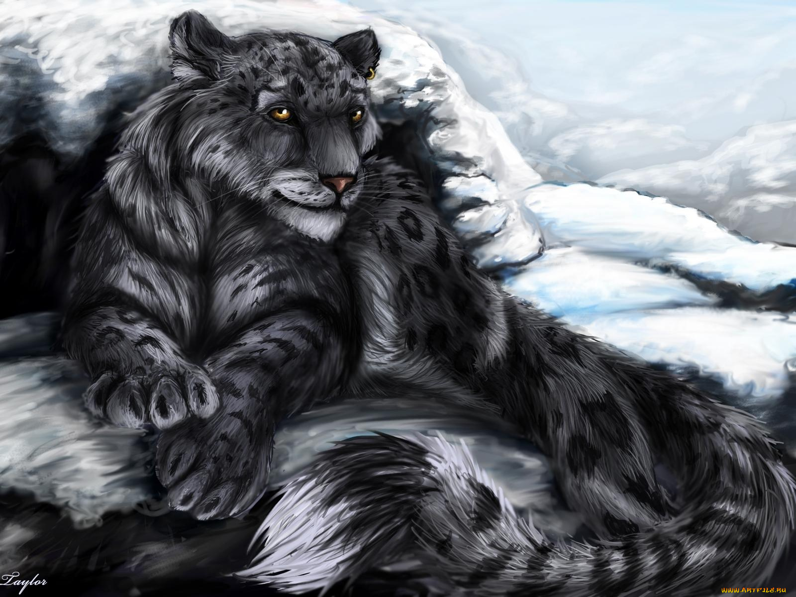 рисованные, животные