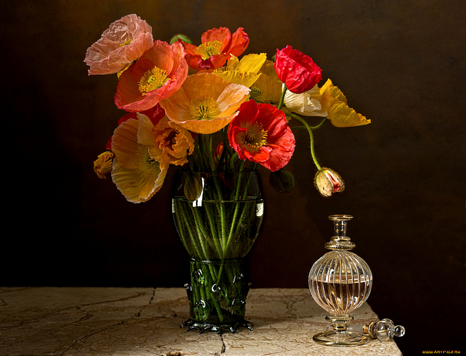 цветы, маки, духи, ваза, букет