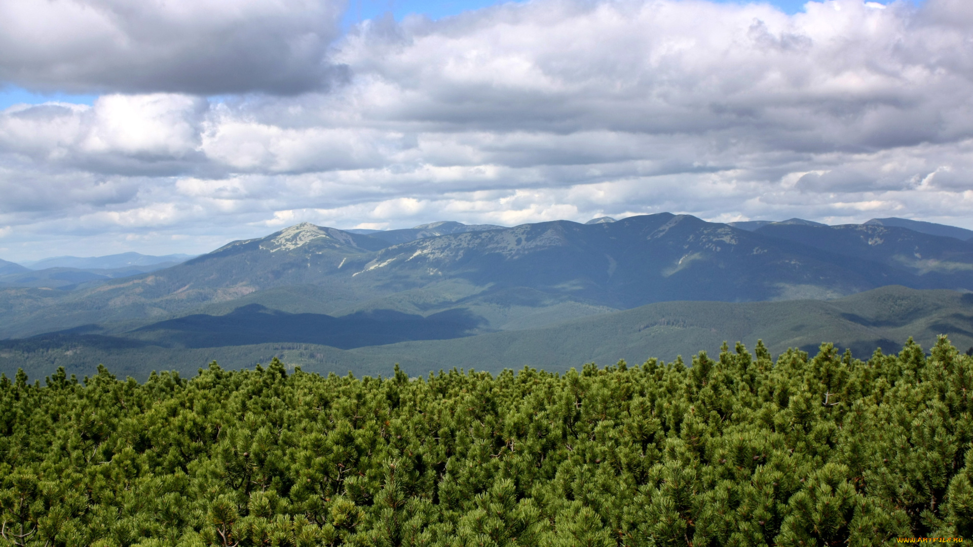 природа, горы, украина, закарпатье, г, , горгани