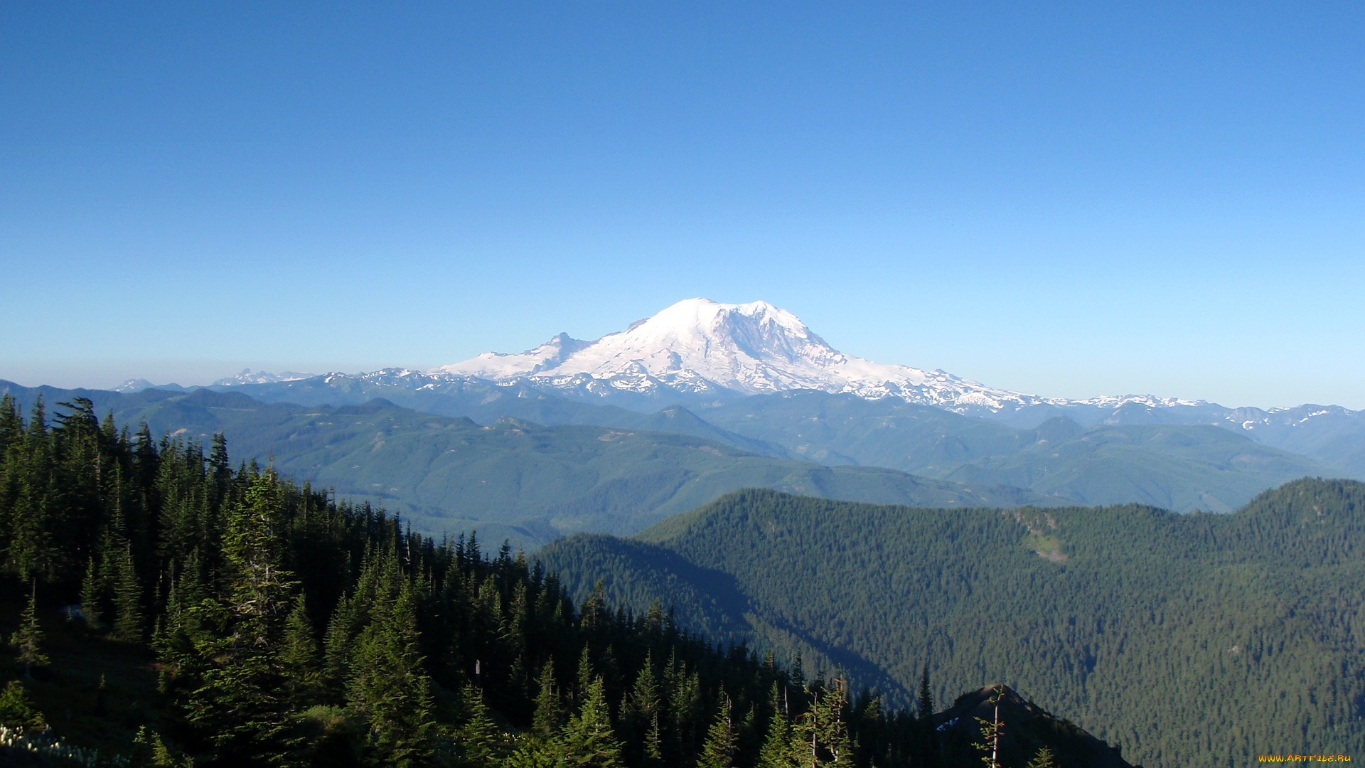природа, пейзажи, washington, usa, national, park, mount, rainier