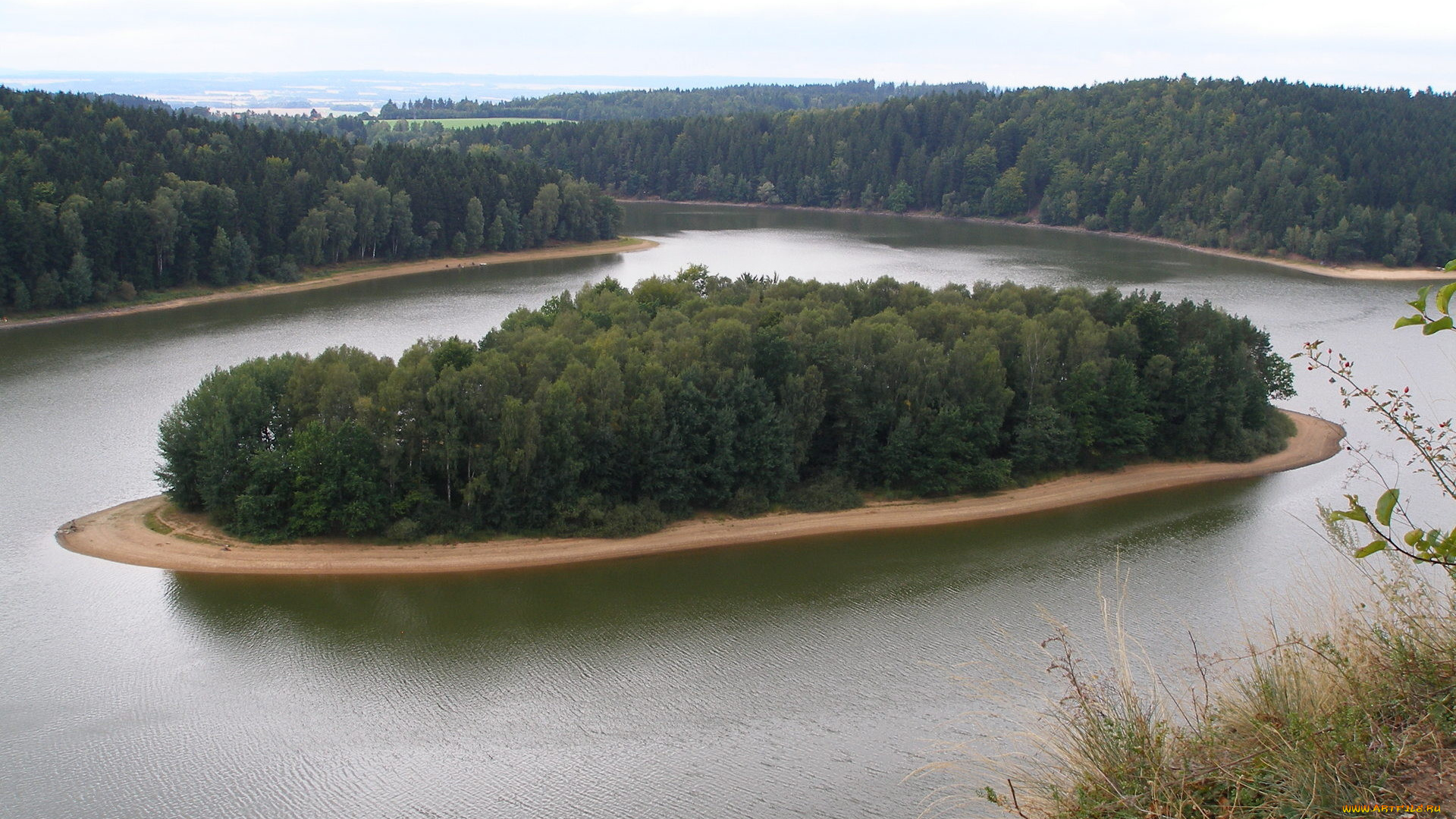 природа, реки, озера, лес, река, деревья, остров