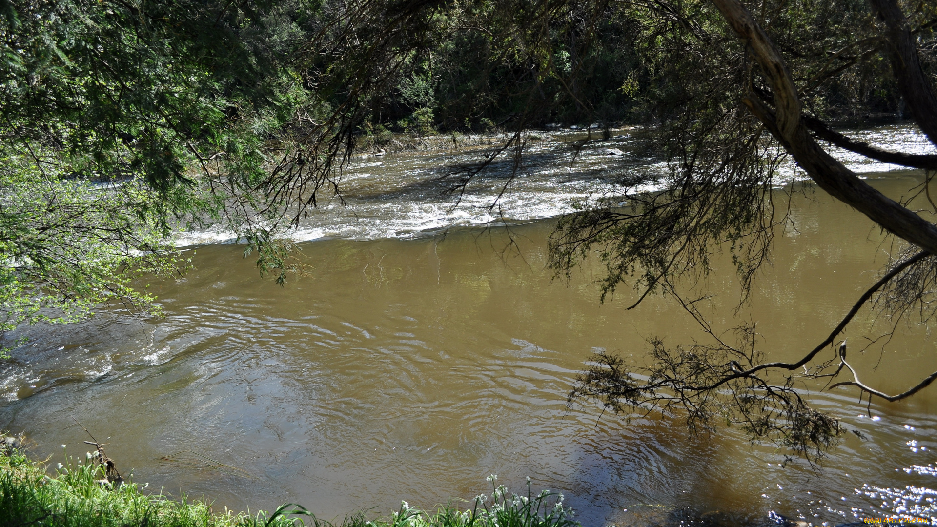 природа, реки, озера, yarra, river