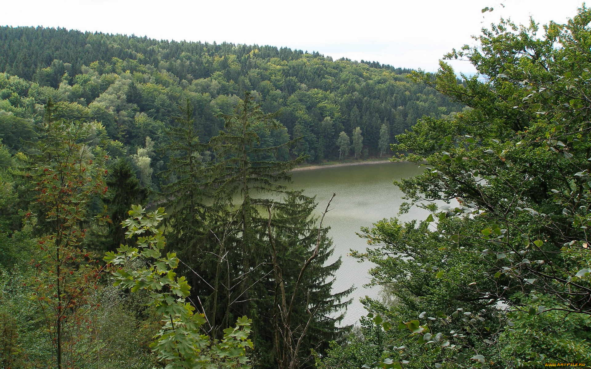 природа, реки, озера, деревья, лес, река