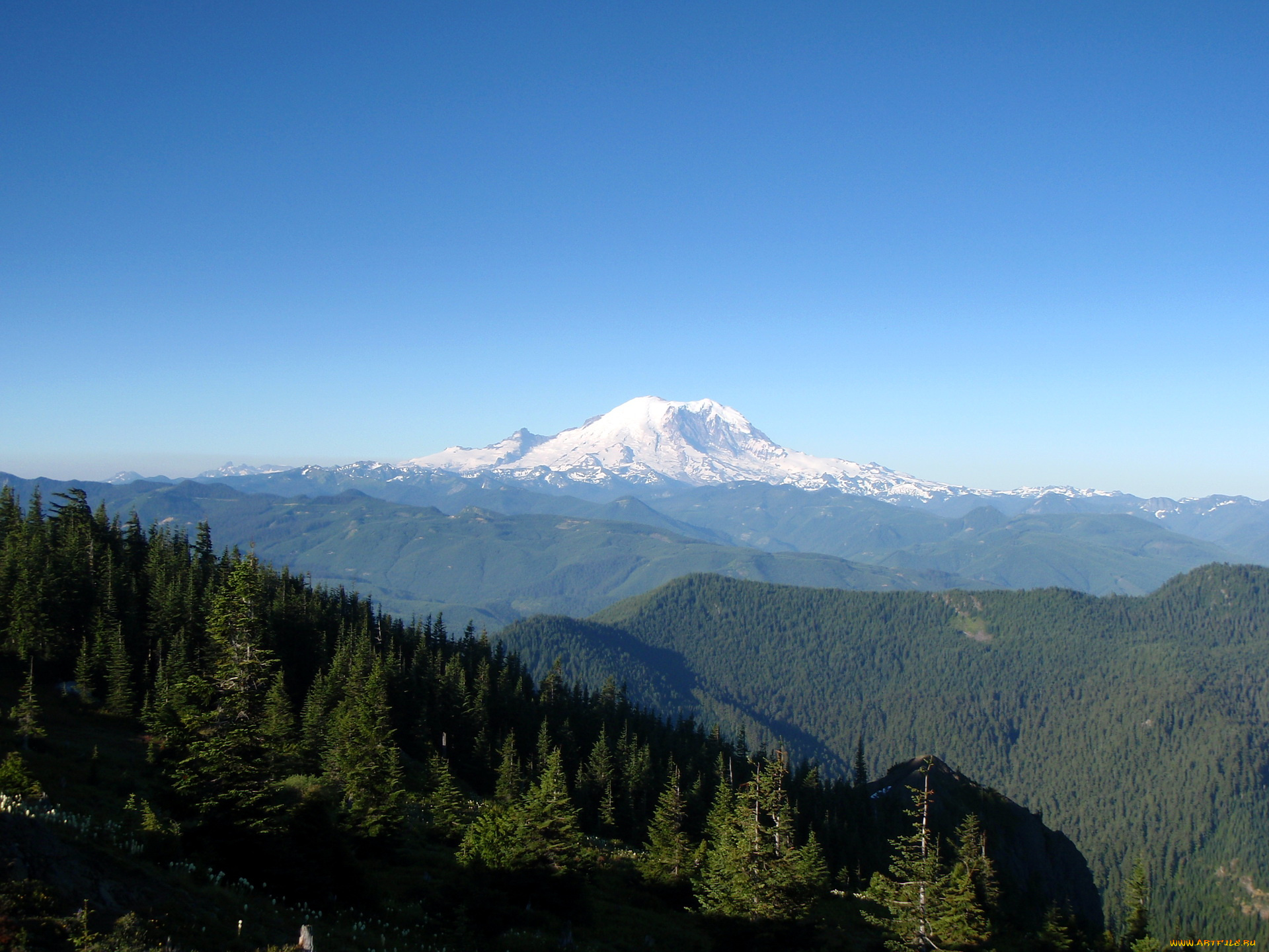 природа, пейзажи, washington, usa, national, park, mount, rainier