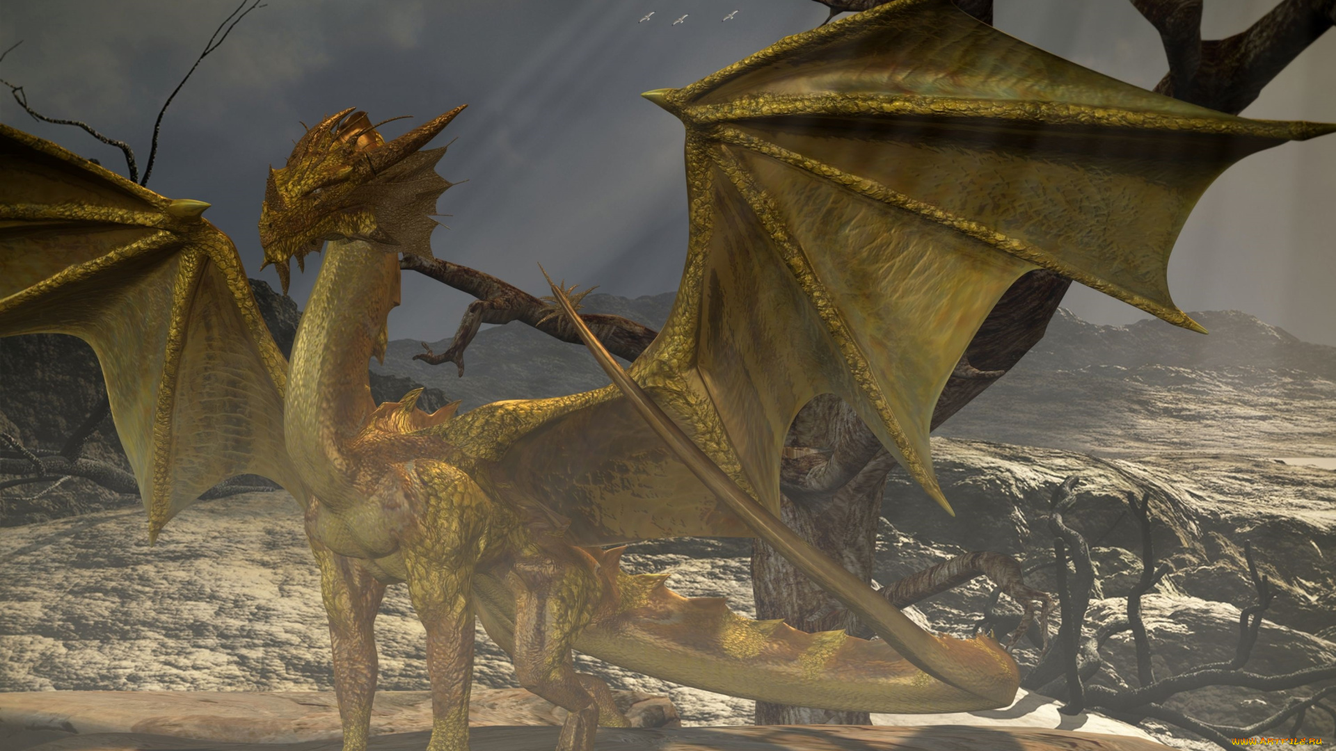 3д, графика, creatures, существа, дракон, лапы, хвост, крылья