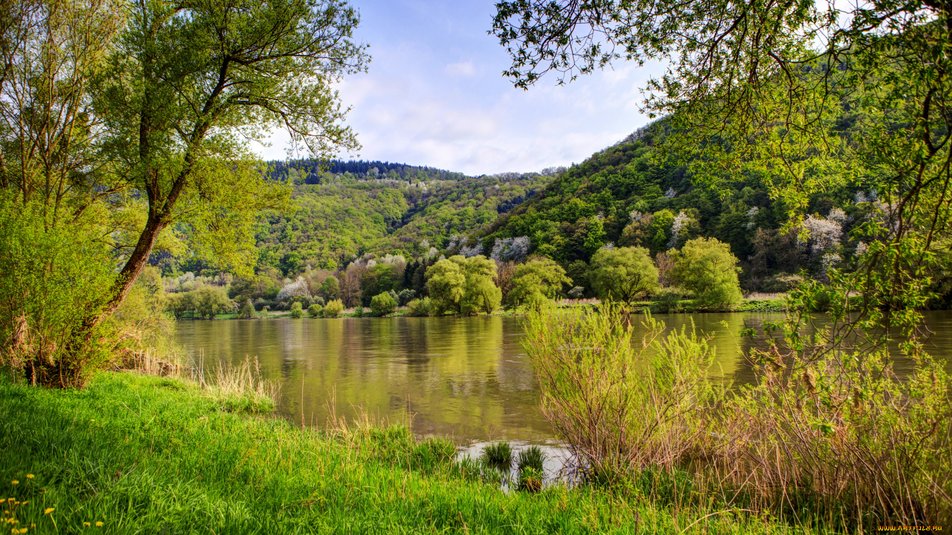 германия, нерен, природа, реки, озера, река, берег, деревья