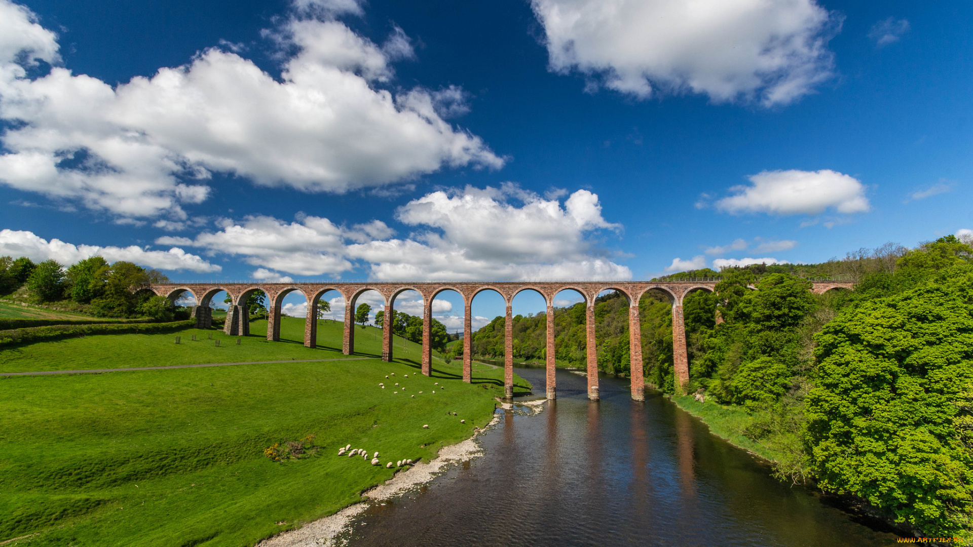leaderfoot, viaduct, scotland, природа, реки, озера, виадук, шотландия, река, твид, river, tweed, мост, луг