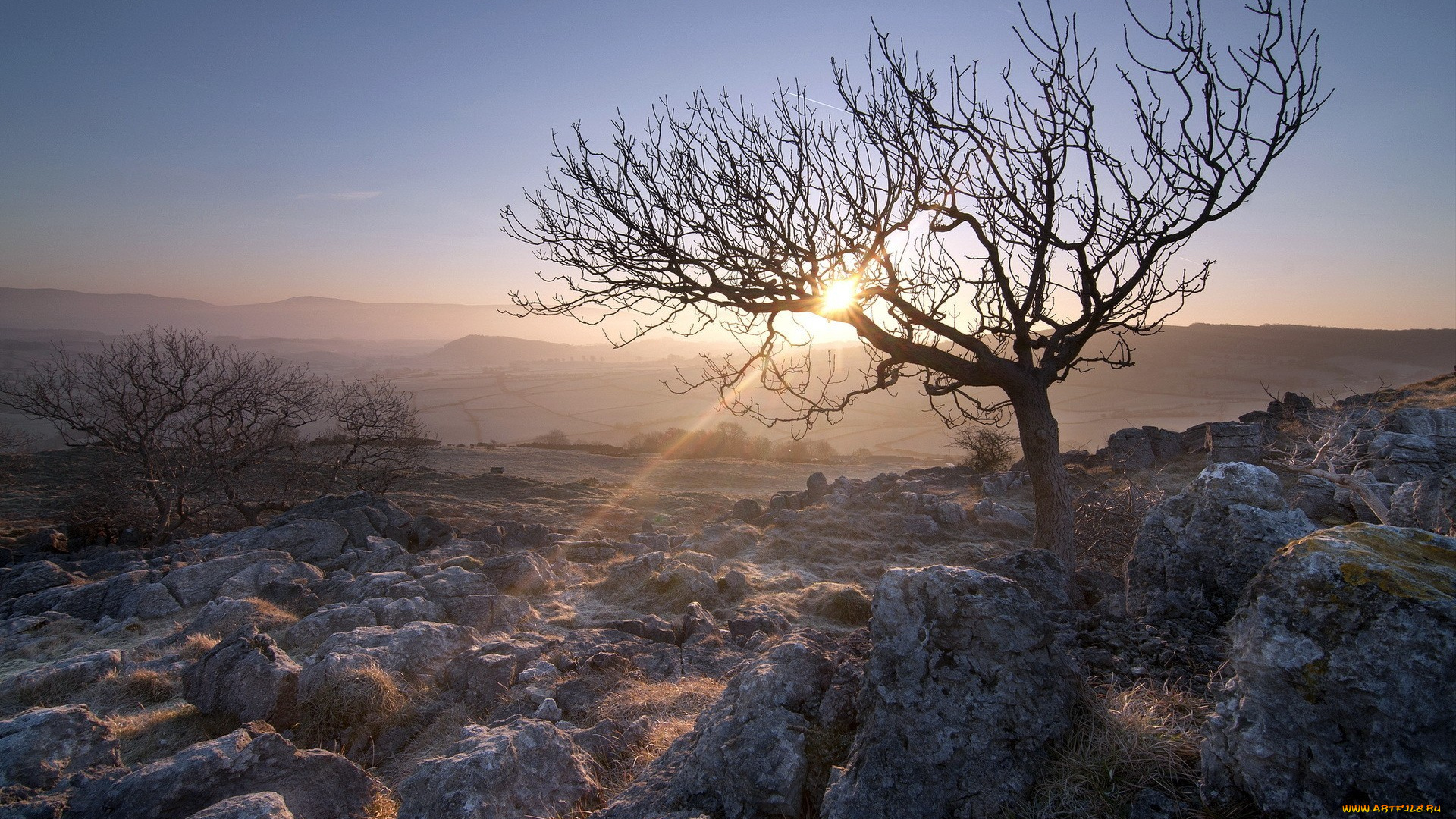 природа, восходы, закаты, холмы, камни, трава, деревья