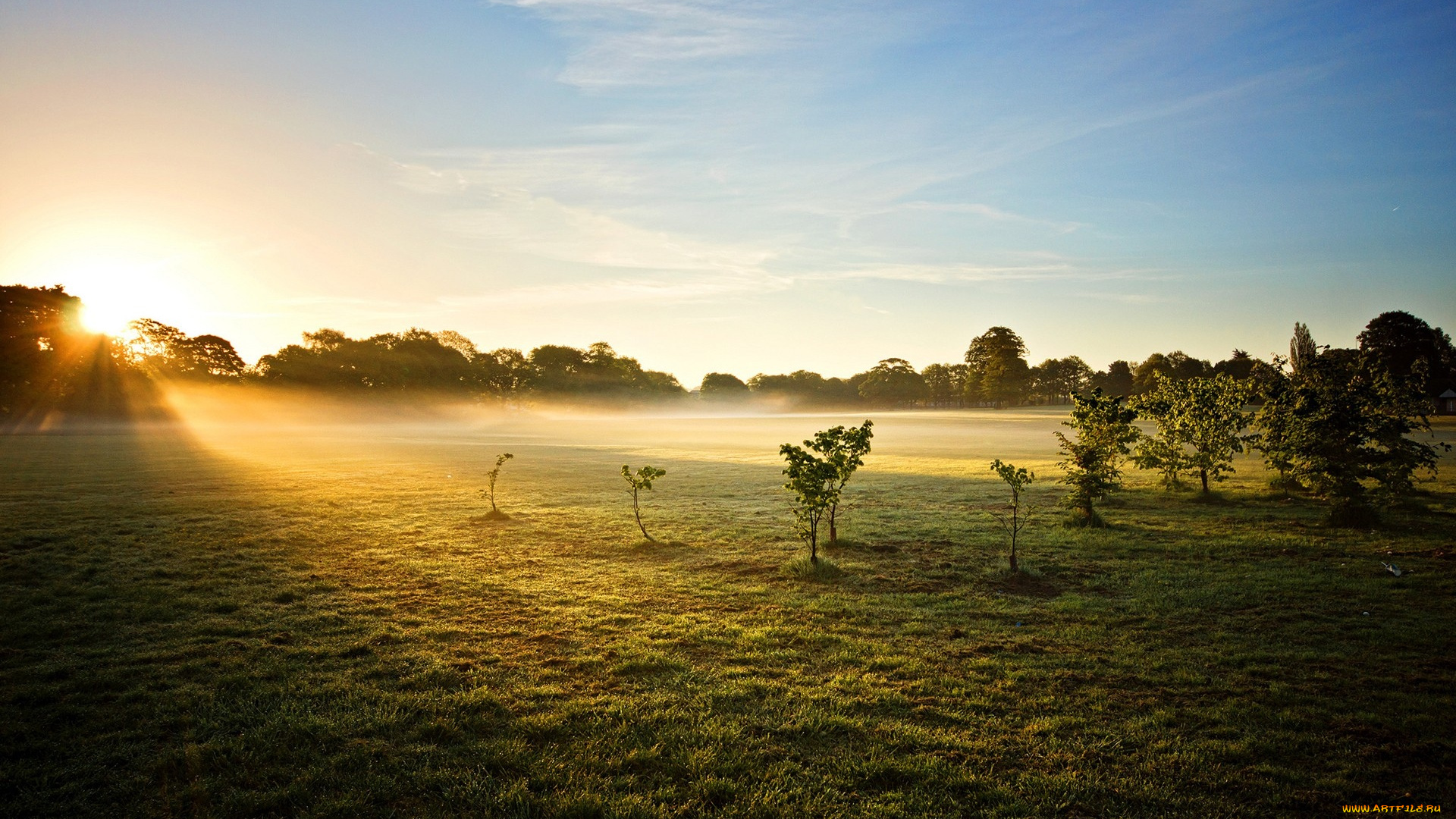 природа, восходы, закаты, рассвет, туман, лучи, свет, деревья, трава, поле