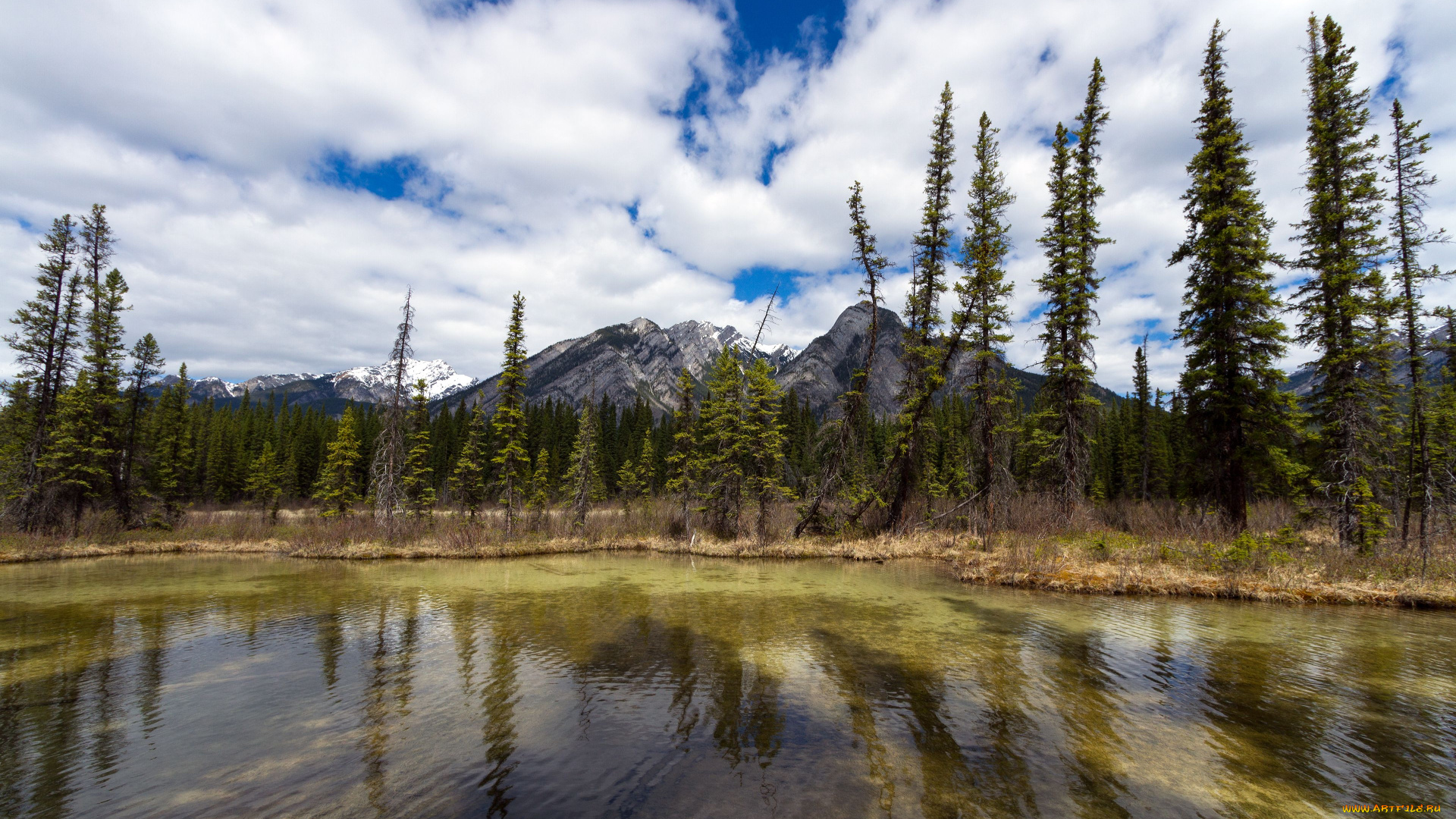 sulphur, mountain, banff, national, park, alberta, canada, природа, реки, озера, горы, озеро, деревья, банф, альберта, канада