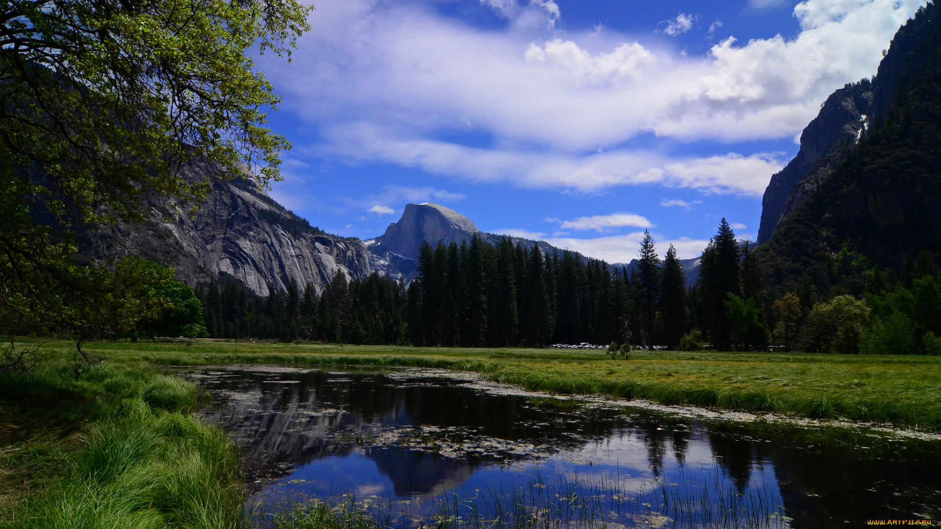 yosemite, national, park, california, природа, реки, озера, йосемити, калифорния, река, горы, деревья