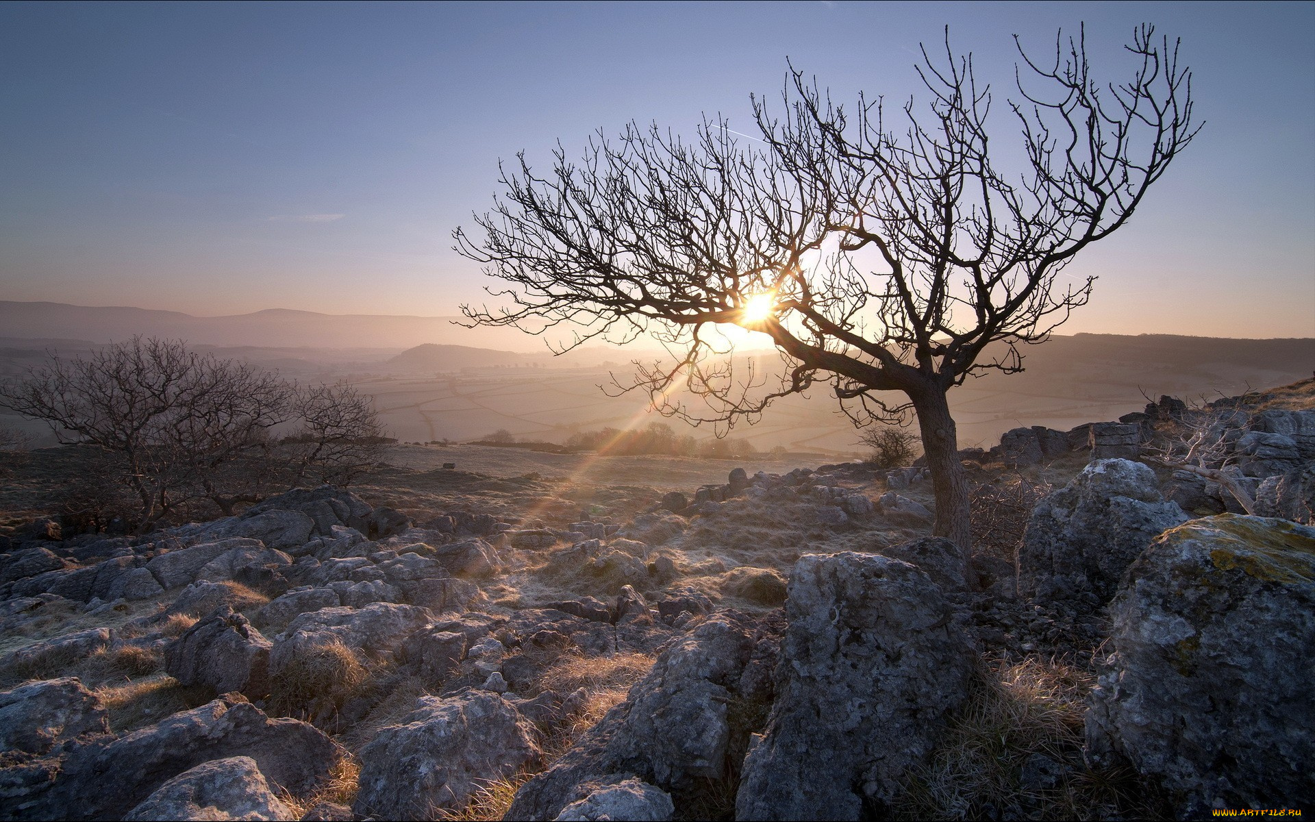 природа, восходы, закаты, холмы, камни, трава, деревья