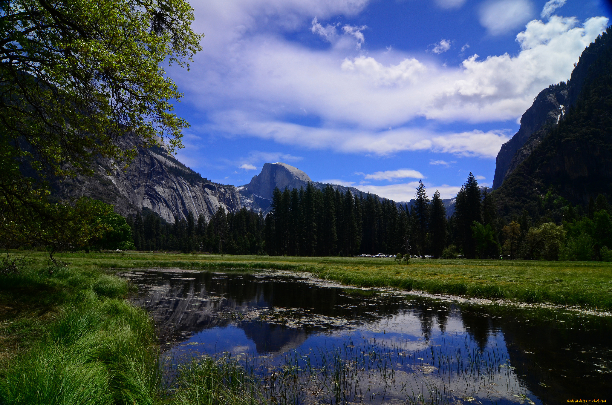 yosemite, national, park, california, природа, реки, озера, йосемити, калифорния, река, горы, деревья
