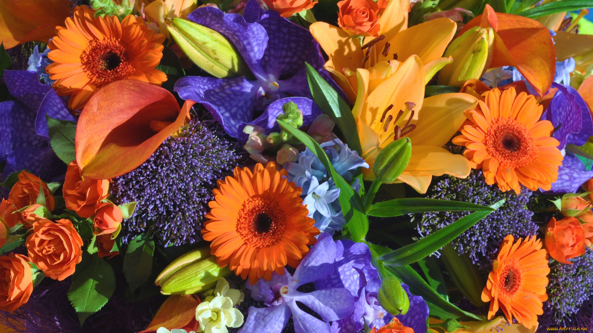 цветы, букеты, , композиции, гиацинт, кала, роза, орхидея, гербера