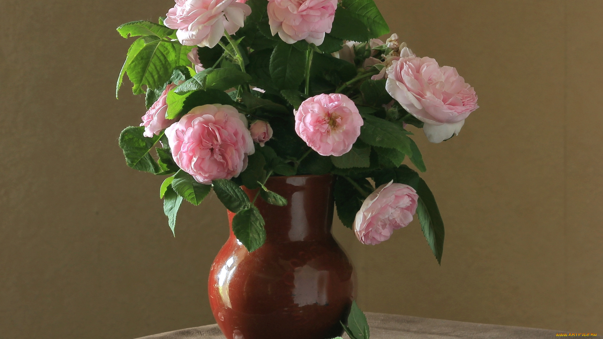 цветы, розы, букет