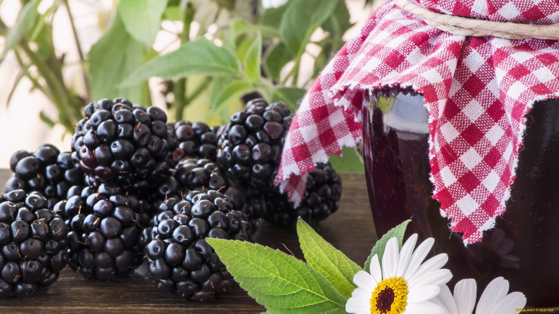 еда, ежевика, банка, ягоды, варенье