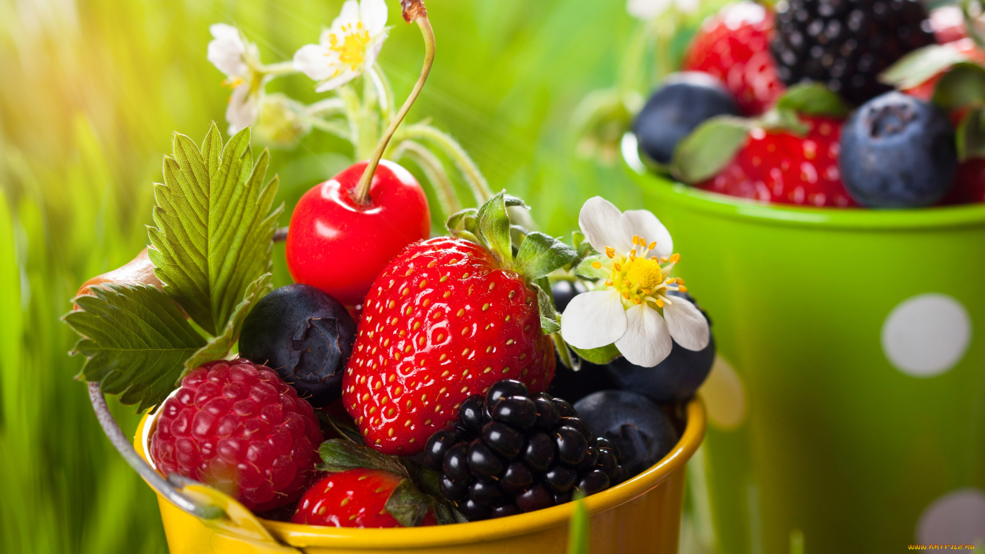 еда, фрукты, , ягоды, малина, клубника, вишня, черника, ежевика