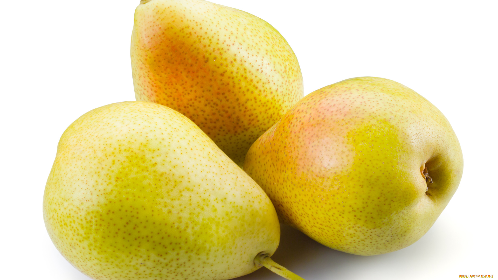 еда, груши, плоды