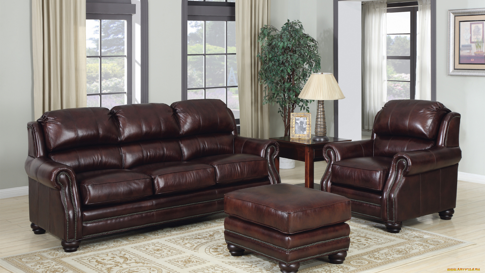 интерьер, гостиная, saloon