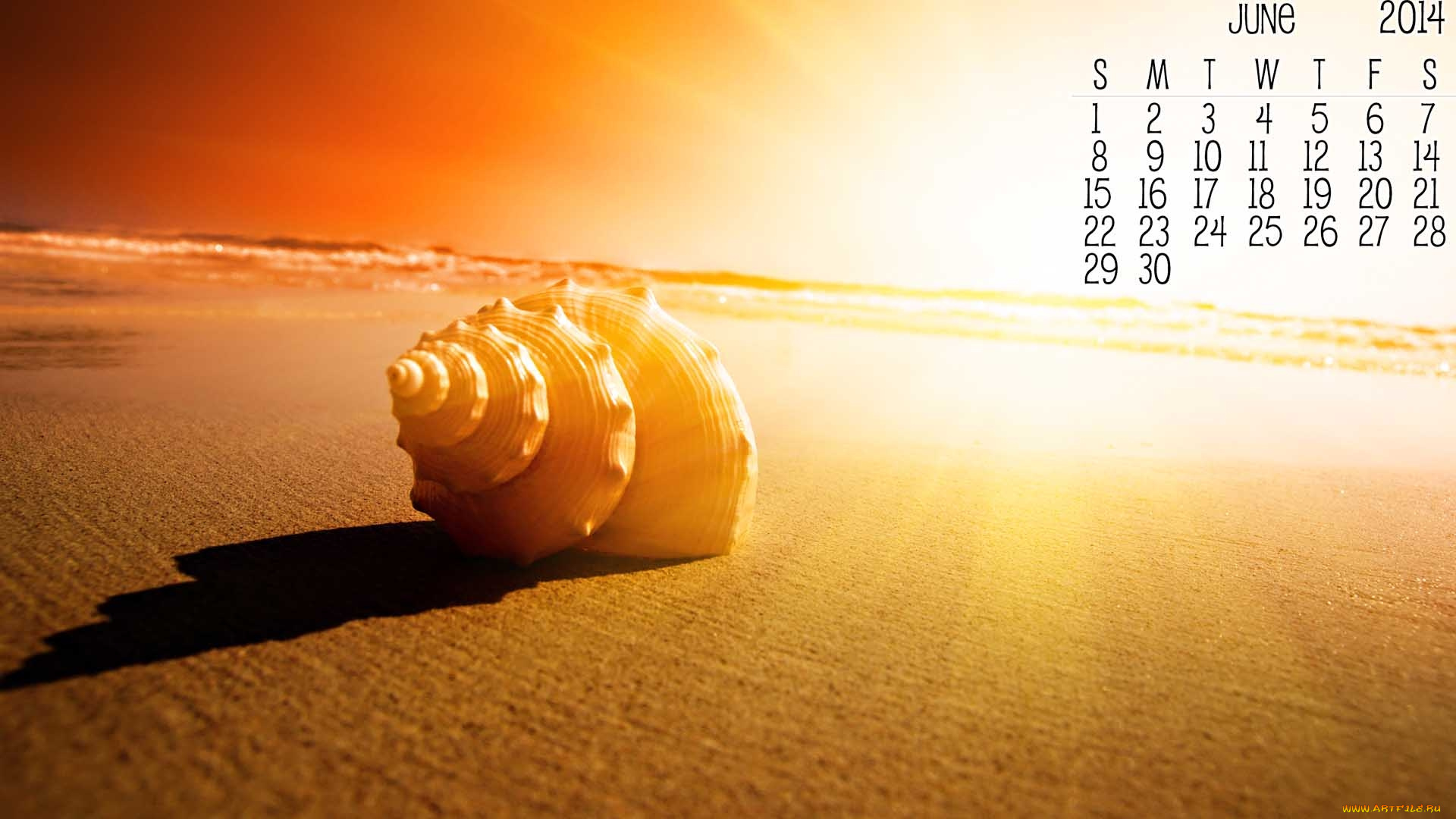 календари, -другое, ракушка