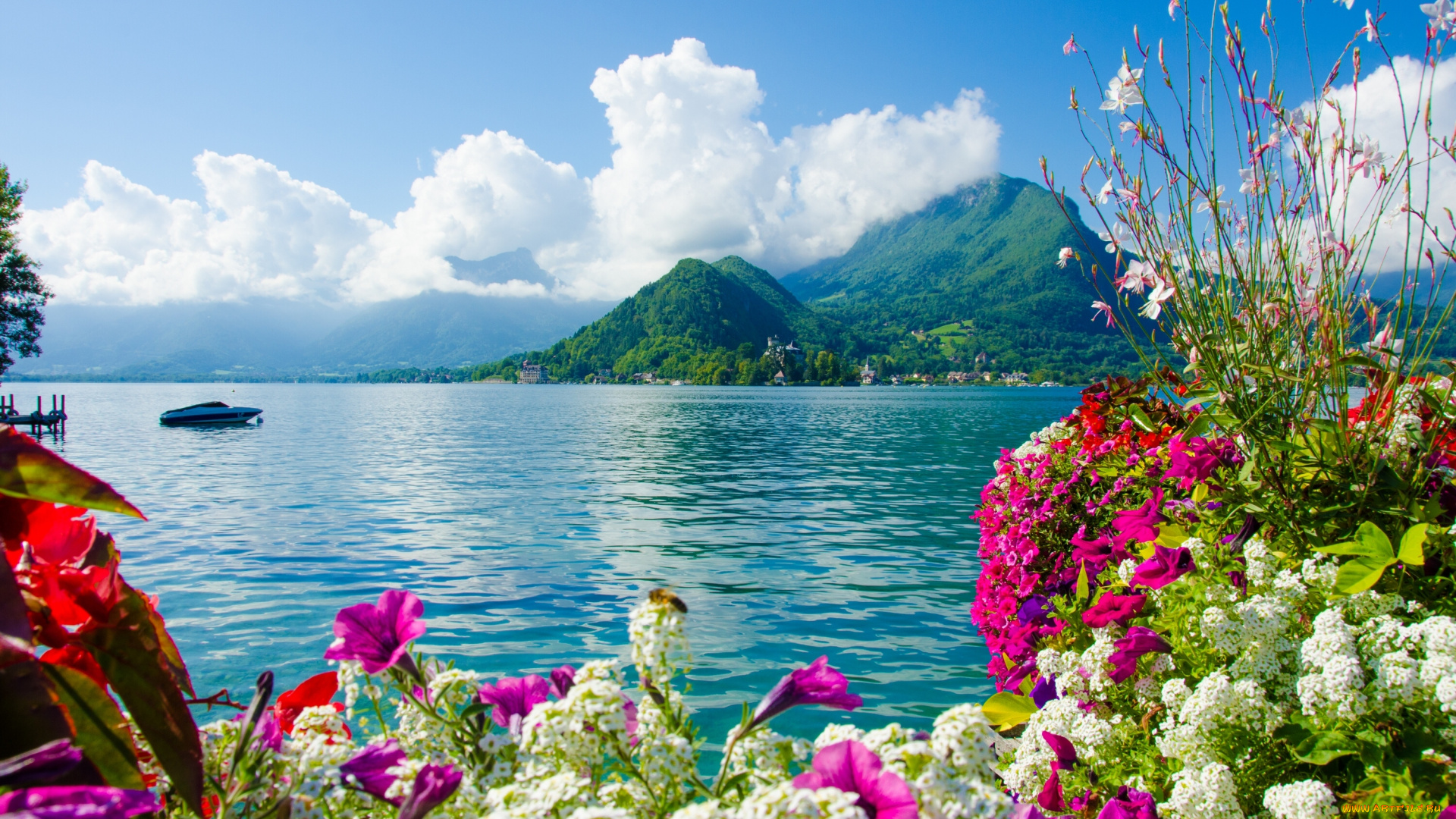 lake, annecy, , france, природа, реки, озера, пейзаж, цветы, горы, france, lake, annecy, франция, озеро, анси
