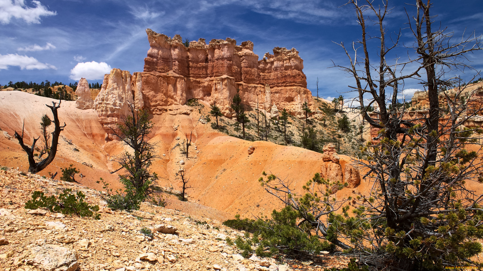 природа, горы, растительность, камни, скалы