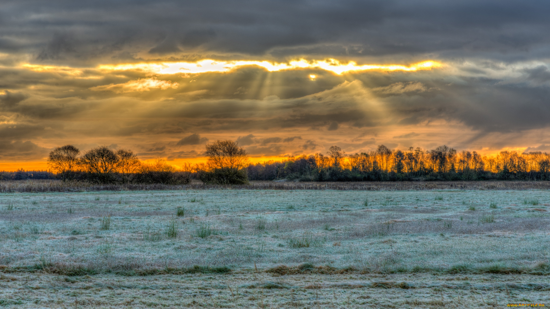 природа, поля, трава, поле, свет, тучи, иней