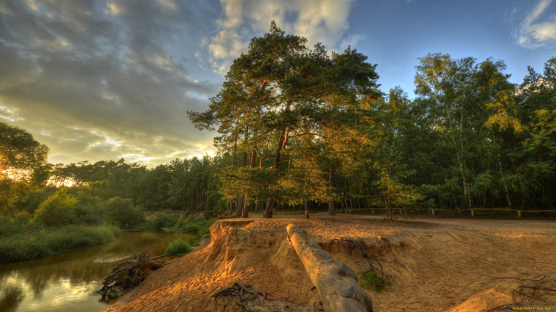 природа, реки, озера, лес, река, обрыв