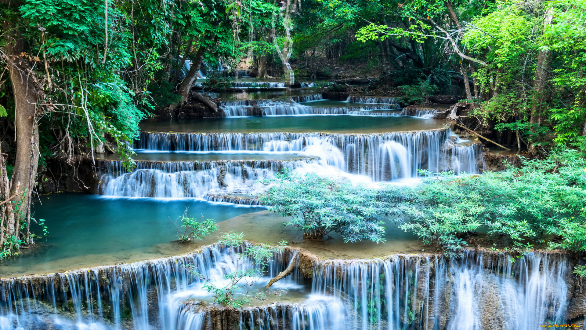 природа, водопады, деревья, водопад, кусты
