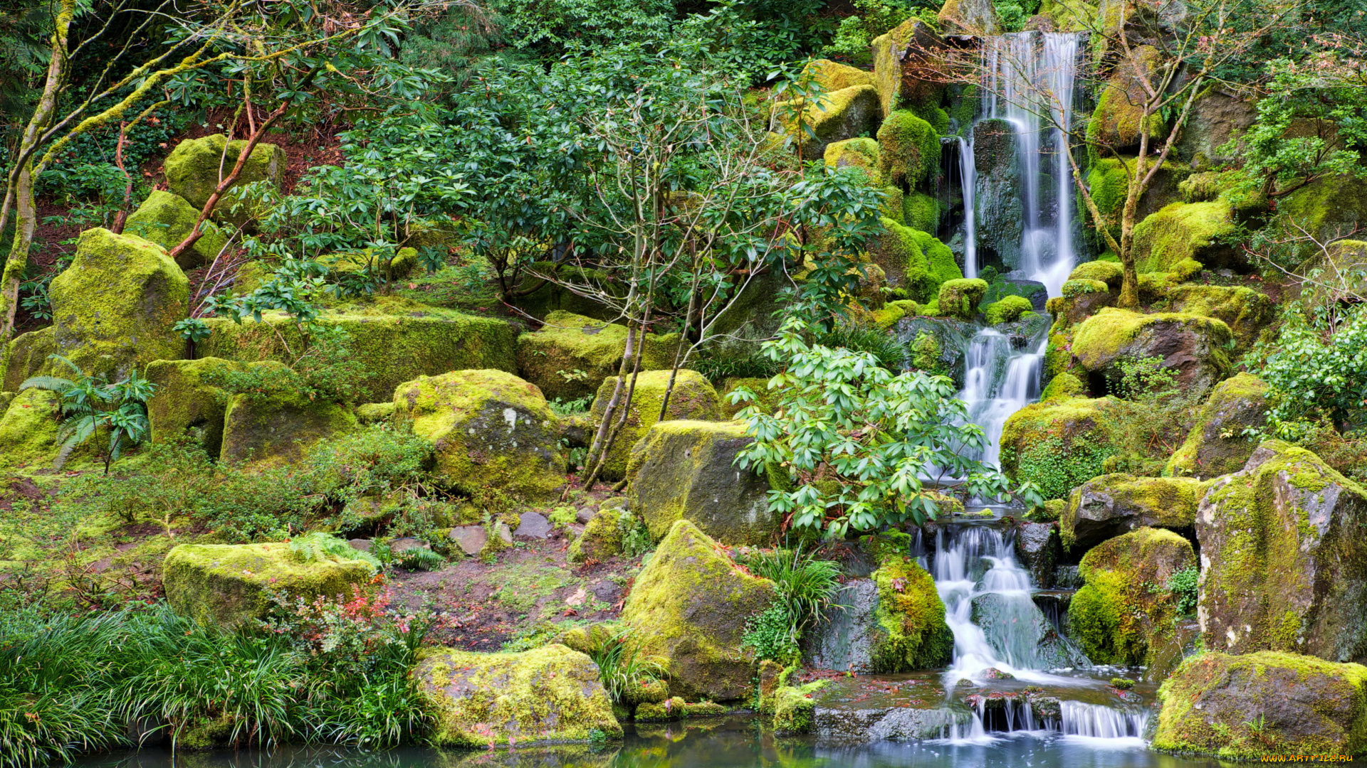 природа, водопады, камни, лес, водопад, кусты