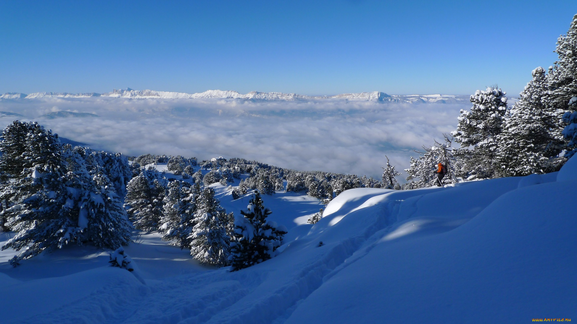 природа, зима, ели, снег, горы