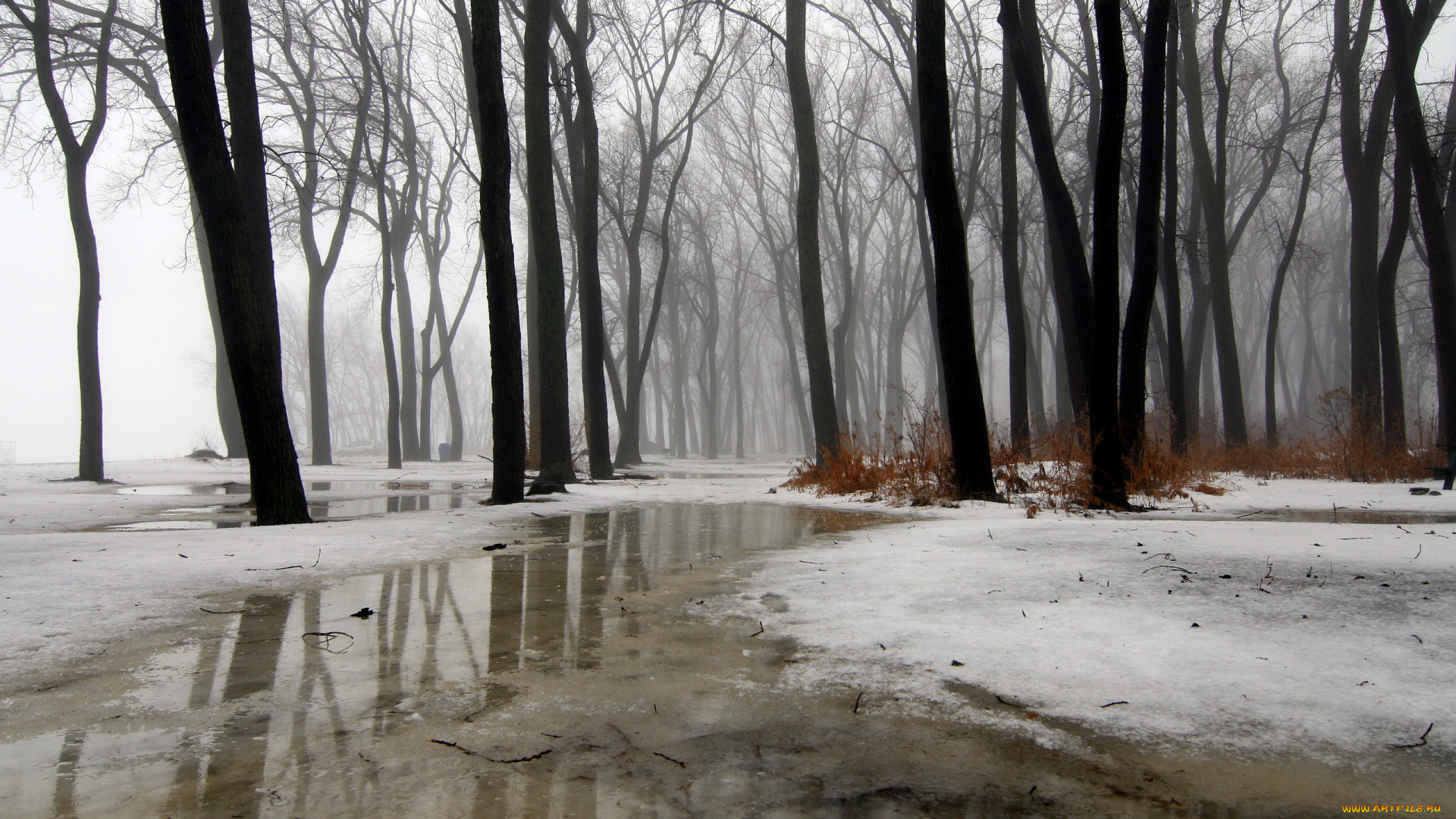 природа, зима, ice, snow, wintermission, rain, water, fog