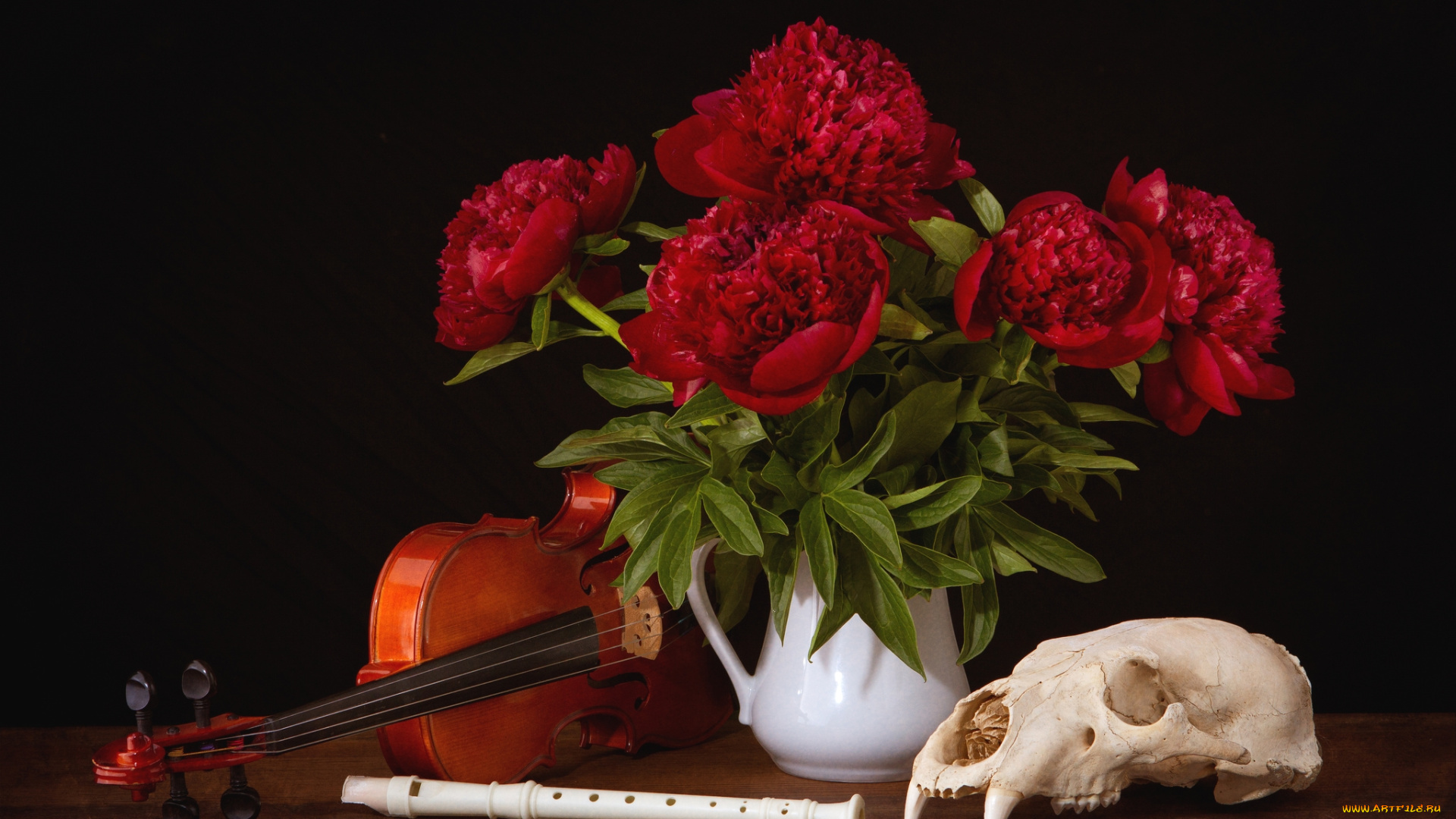 разное, кости, , рентген, череп, пионы