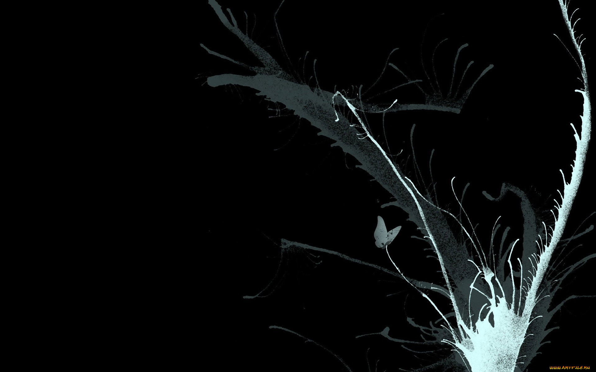 векторная, графика, всплеск, бабочка, брызги, черный, фон, краска