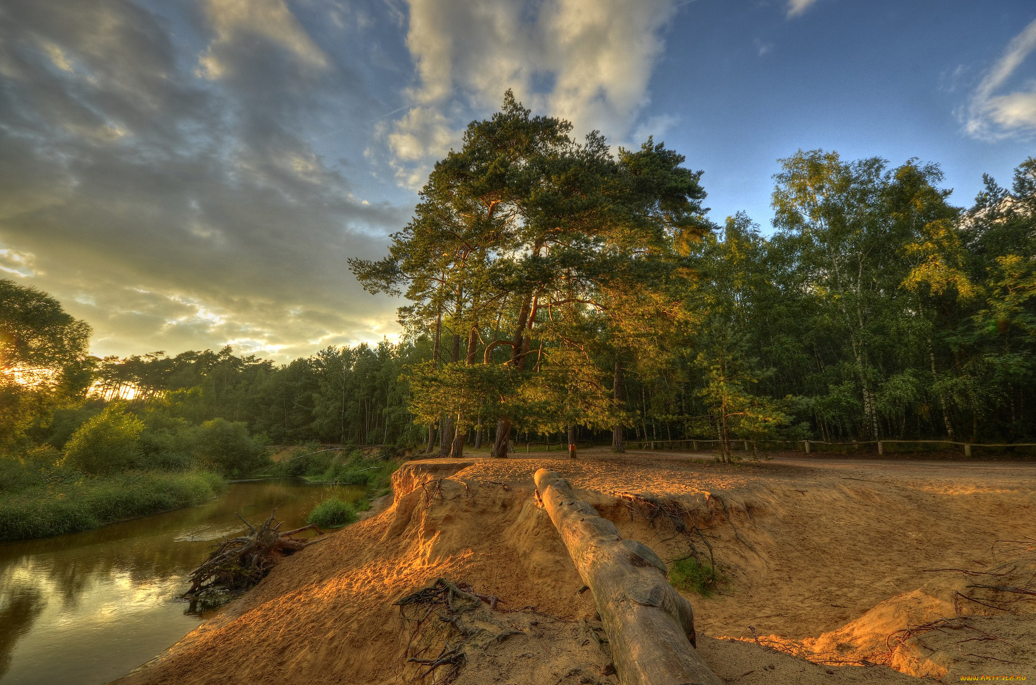 природа, реки, озера, лес, река, обрыв