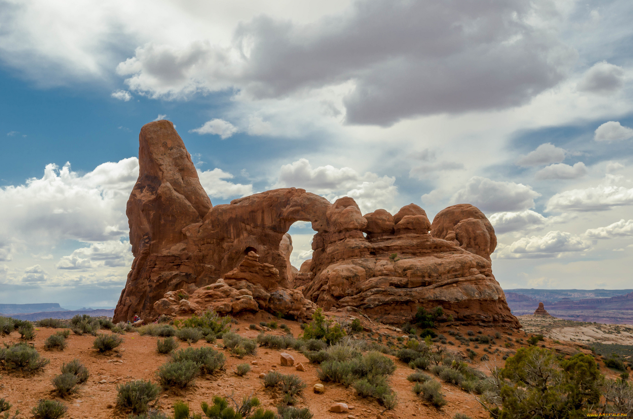 природа, пустыни, растительность, скалы, пустыня