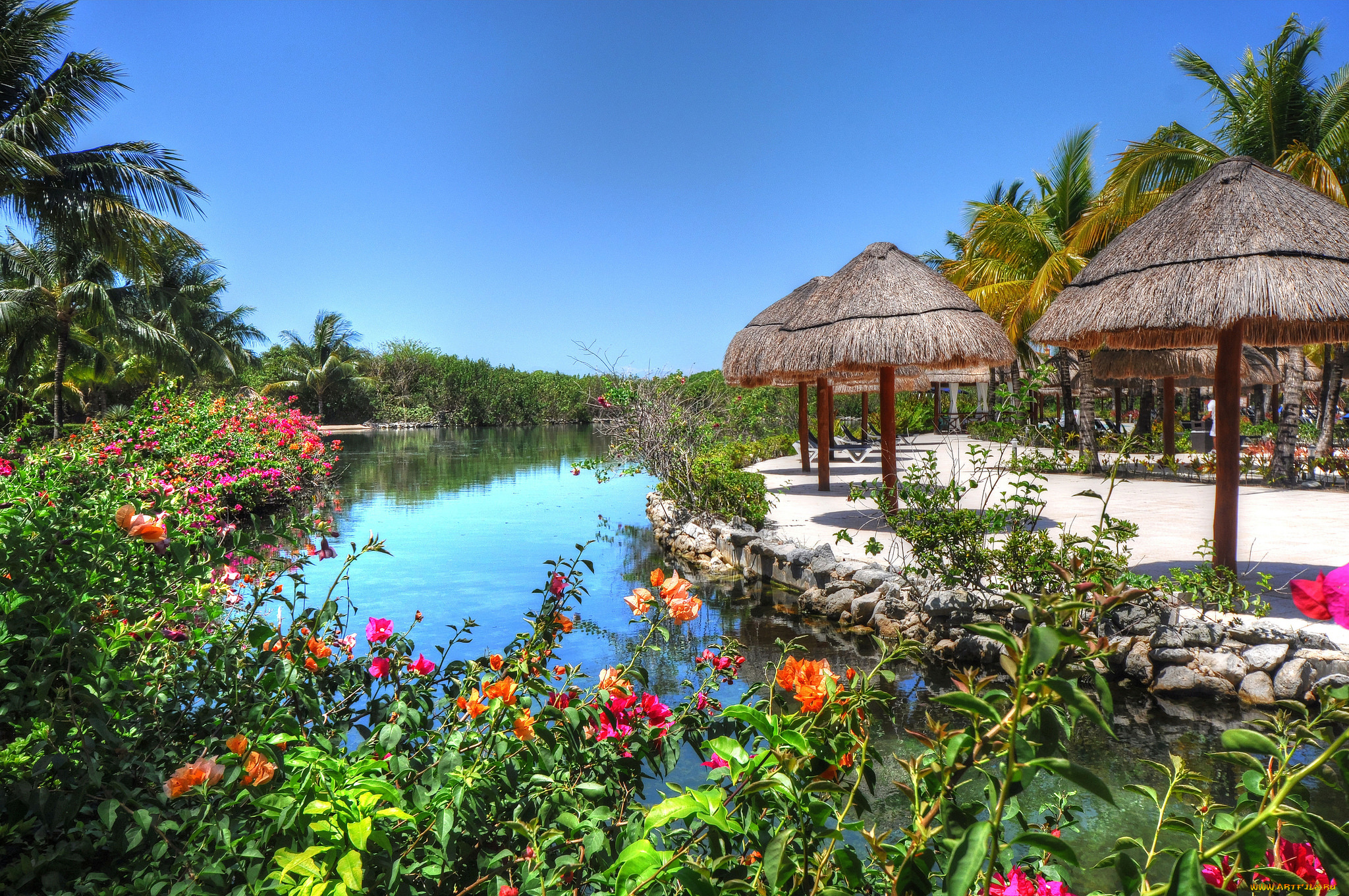 природа, тропики, зонтики, цветы, вода