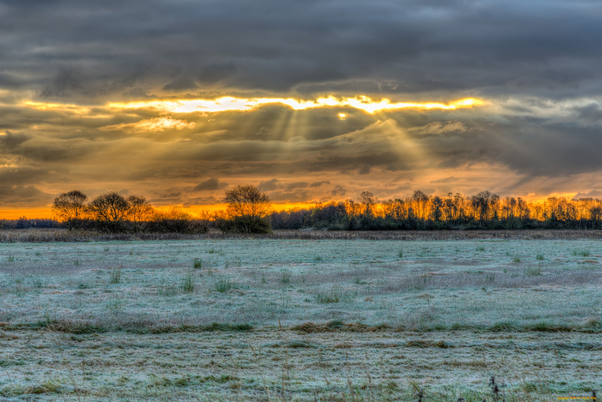 природа, поля, трава, поле, свет, тучи, иней