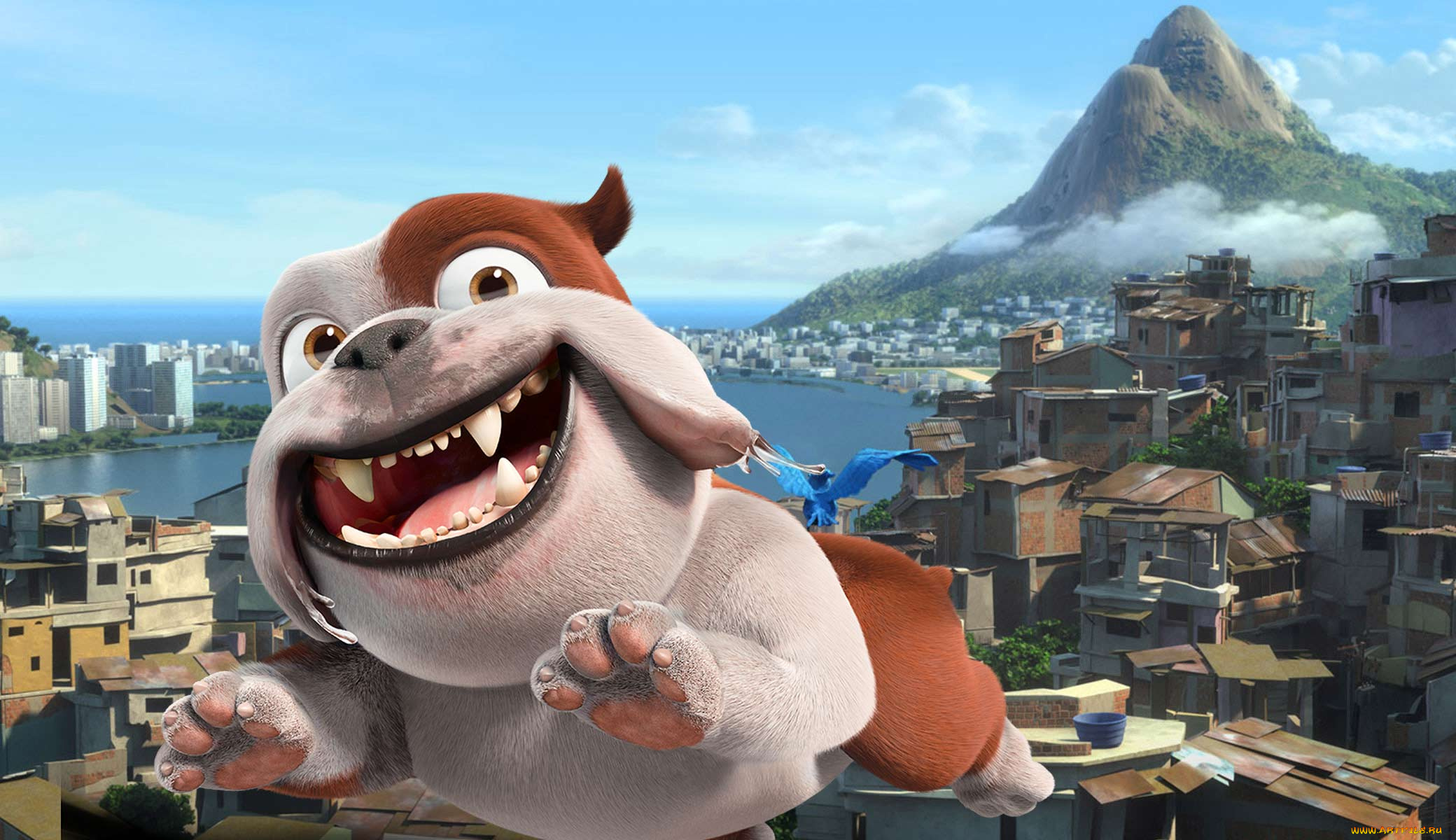 мультфильмы, rio, 2, собака
