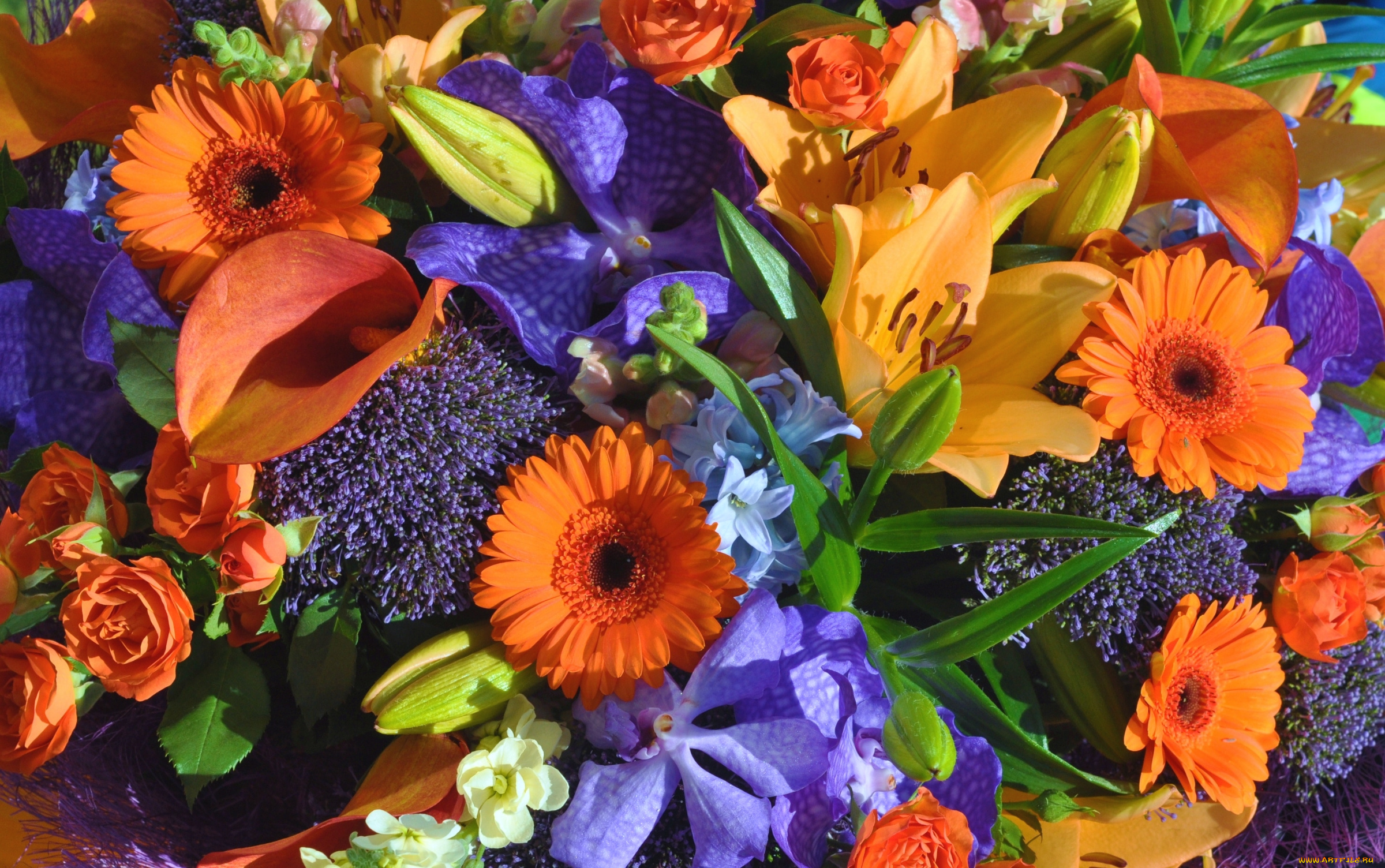 цветы, букеты, , композиции, гиацинт, кала, роза, орхидея, гербера