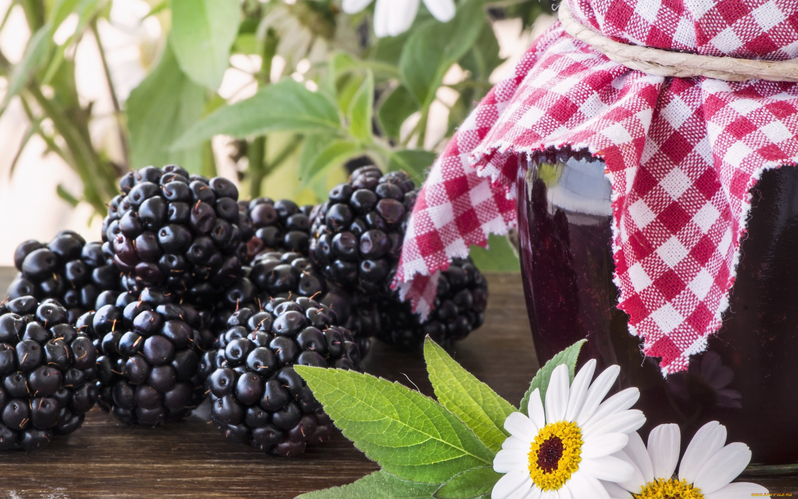 еда, ежевика, банка, ягоды, варенье