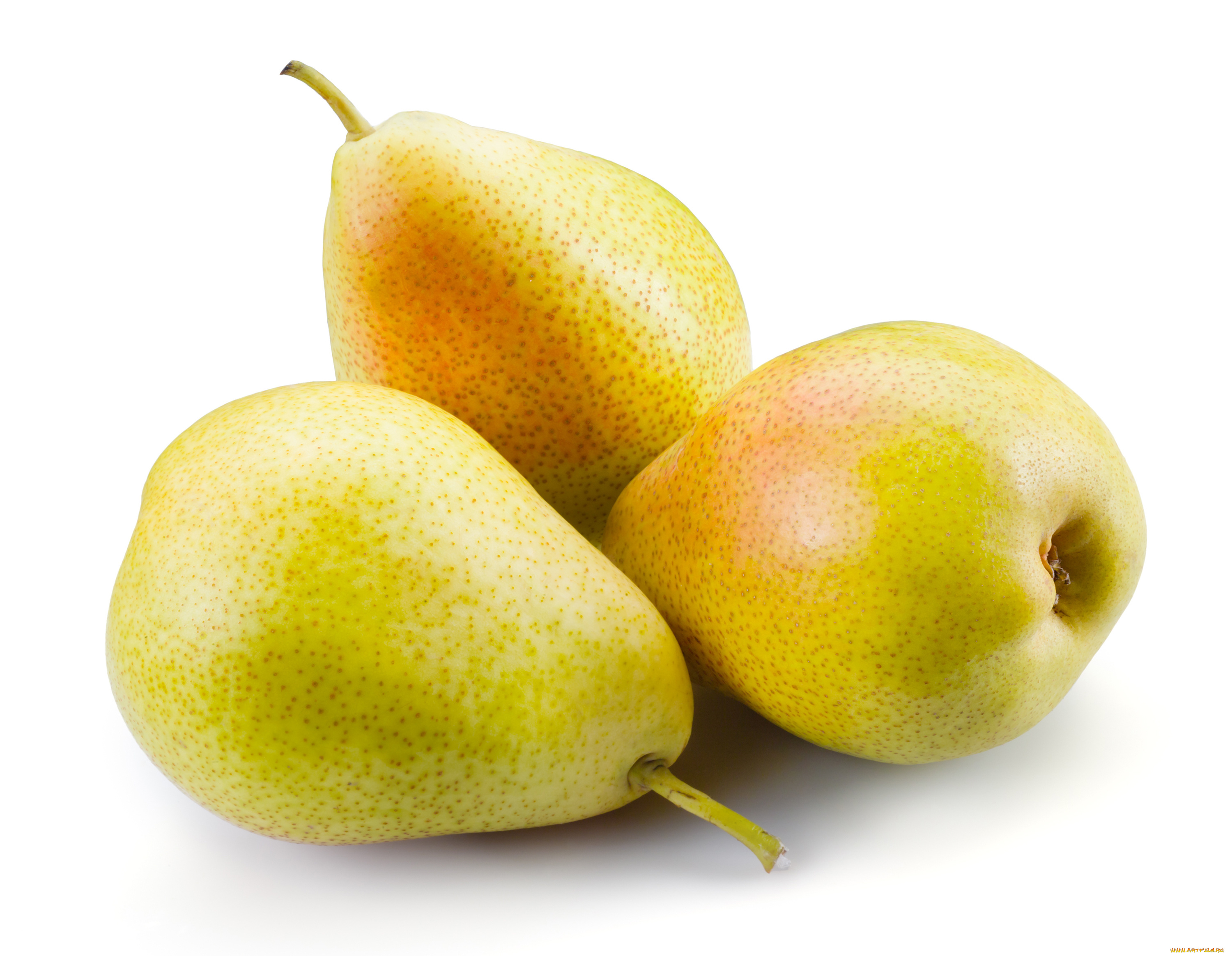 еда, груши, плоды