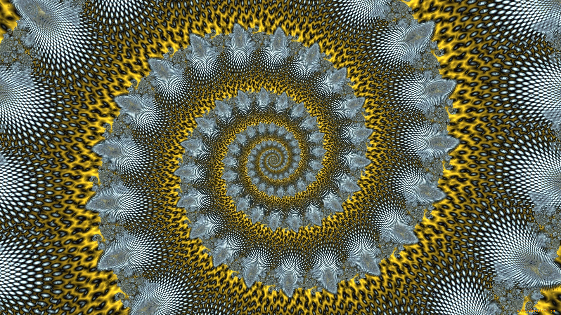 3д, графика, фракталы, , fractal, фон, узор, цвета