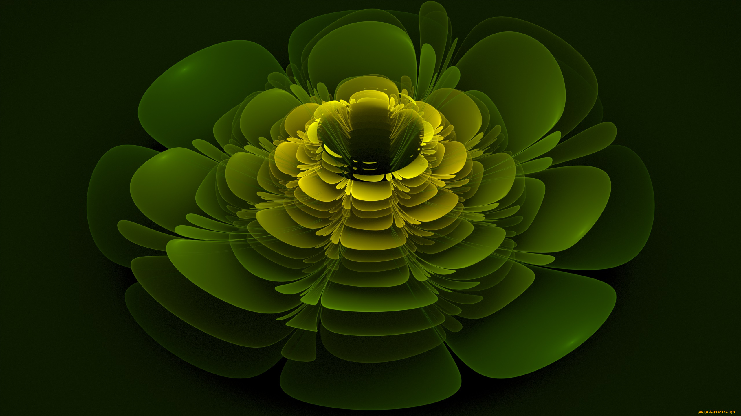 3д, графика, цветы, , flowers, цвета, фон, узор