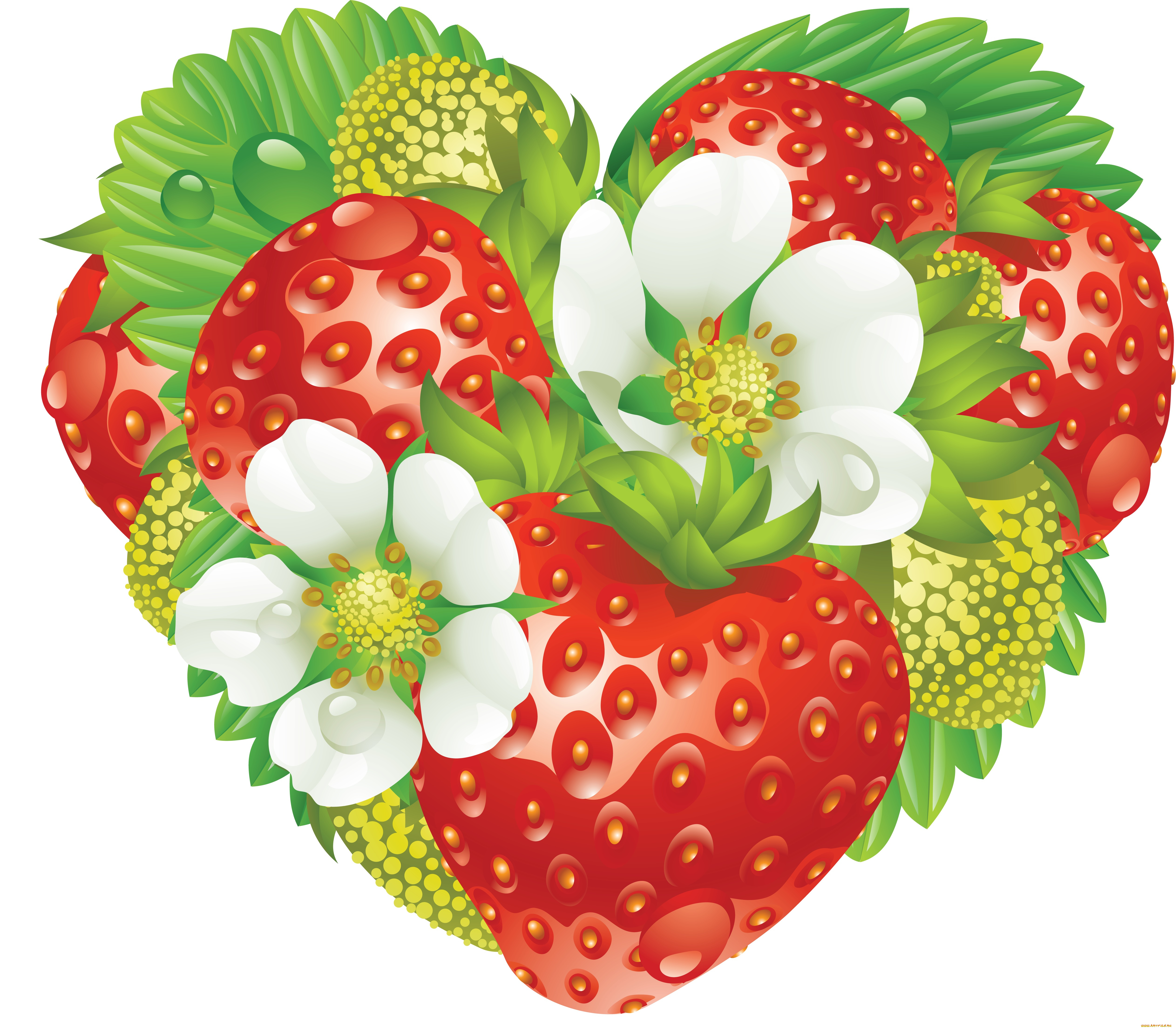 векторная, графика, еда, , food, фон, цветы, клубника