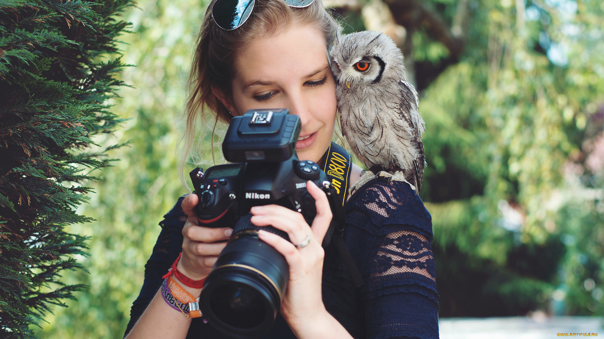 девушки, -unsort, , брюнетки, , шатенки, взгляд, лицо